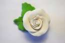 White Roses With Leaves